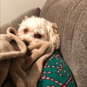 Meet your Posher, Ethan